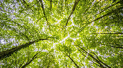 IMMAGINE AMBIENTE E TERRITORIO