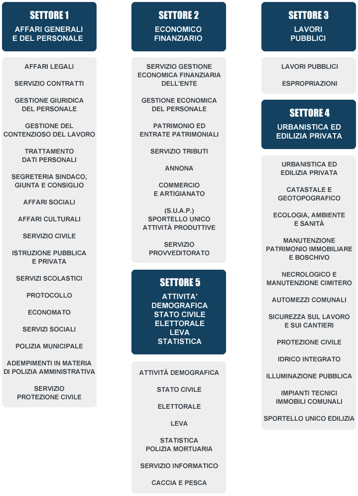 organigramma grafico